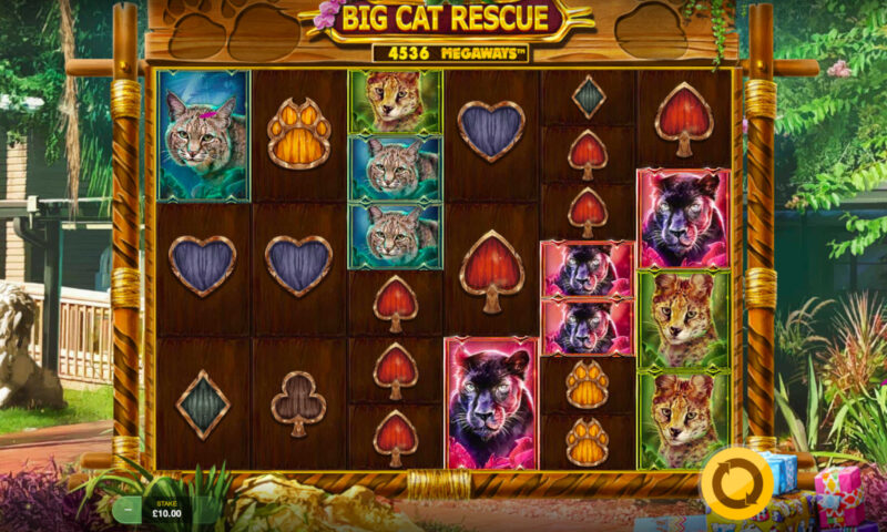 Big Cat Rescue Slot