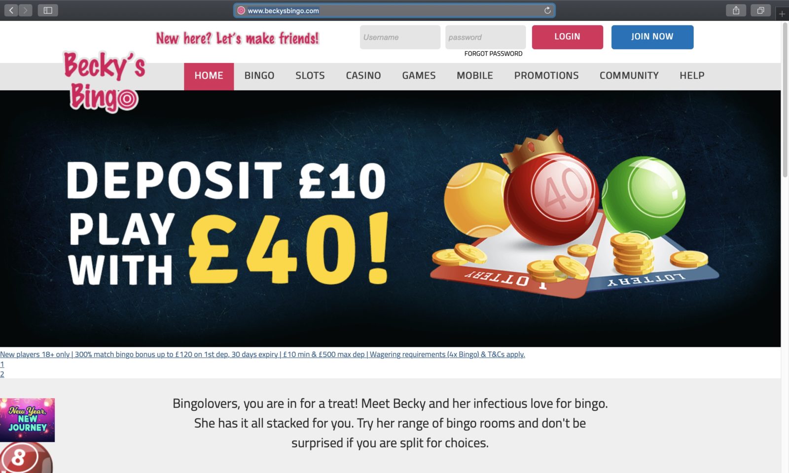 Screenshot of beckysbingo.com