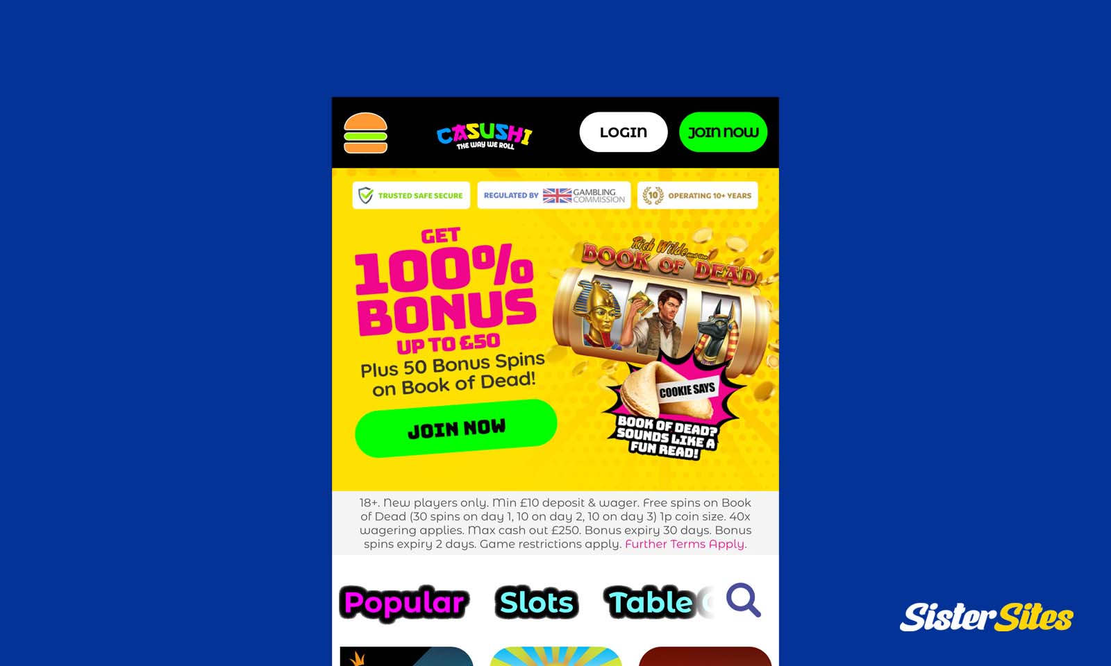 How the website looks on mobile