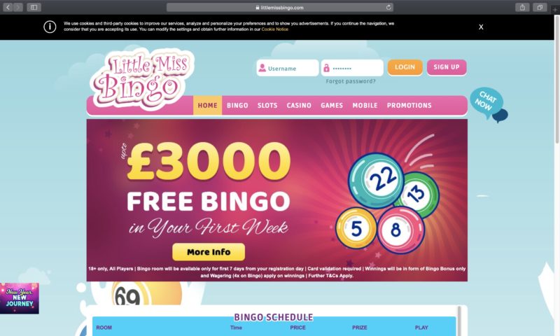Champers Bingo Champers Bingo