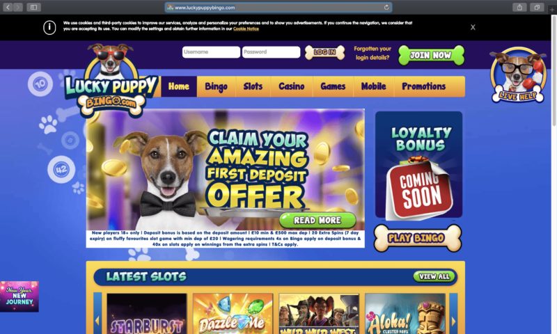 Lucky Puppy Bingo Sister Sites Play at Sites like Lucky