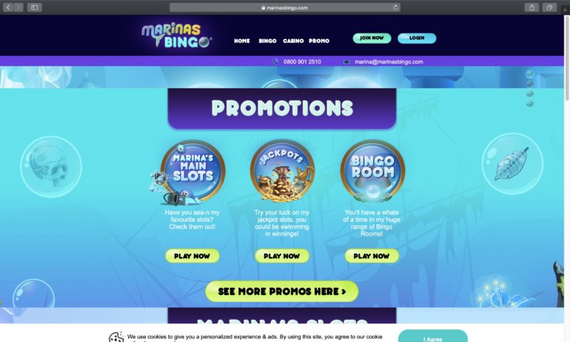 Marinas Bingo Marinas Bingo