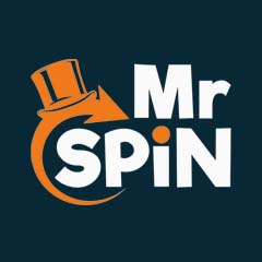 Mr Spin Logo