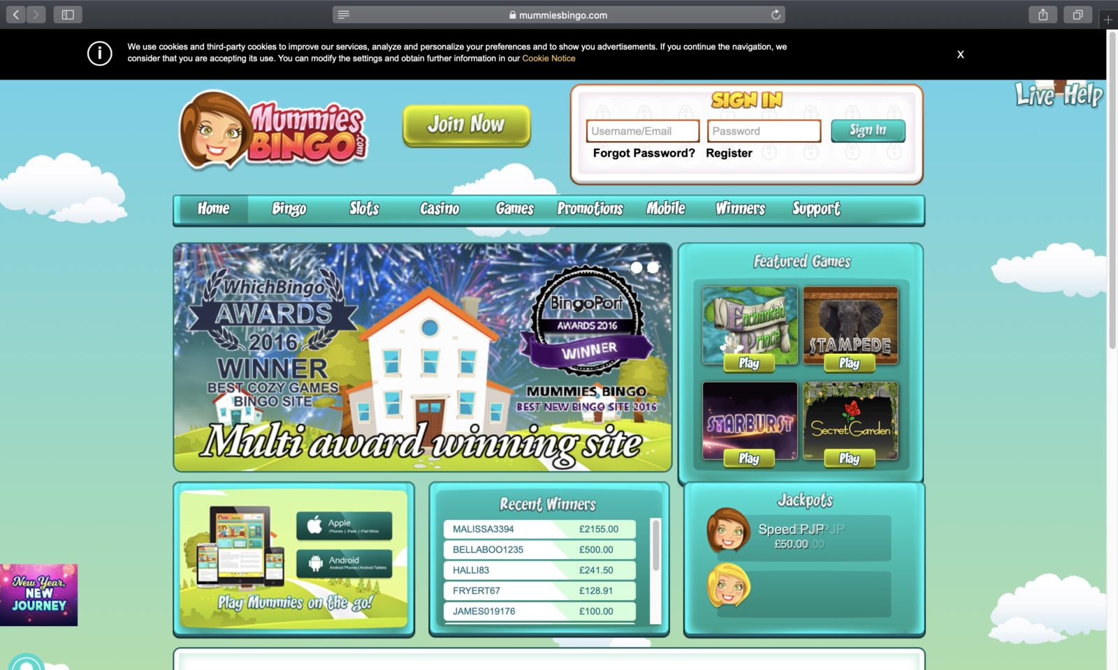 Screenshot of mummiesbingo.com