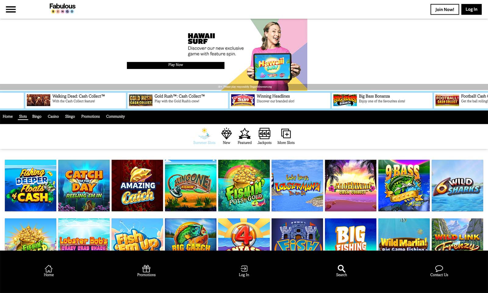 Screenshot of game section