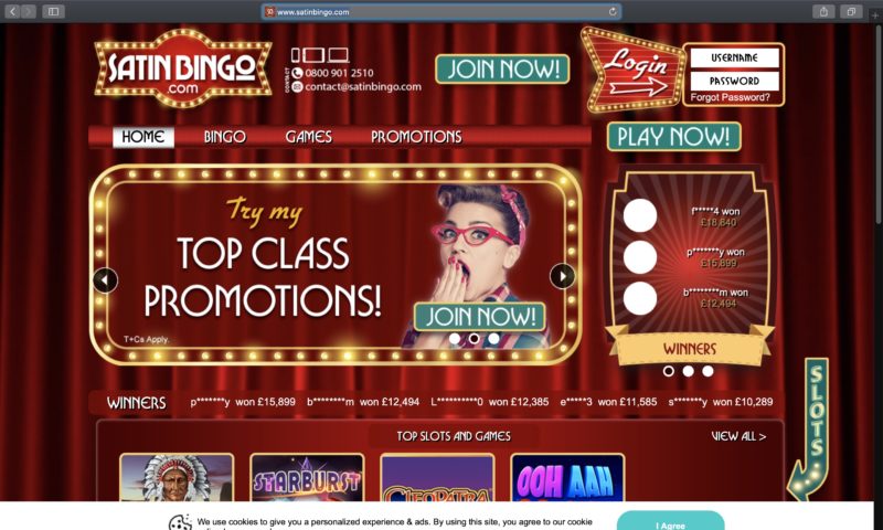 Bingo Bingo
