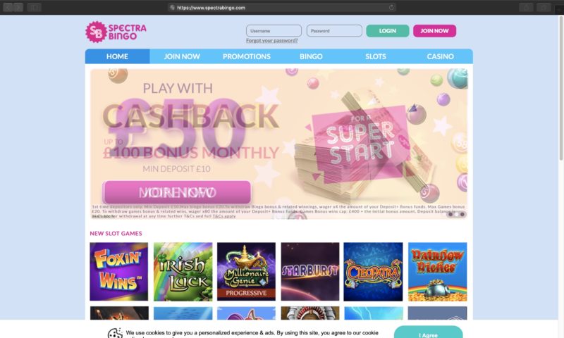 Spectra bingo casino no deposit