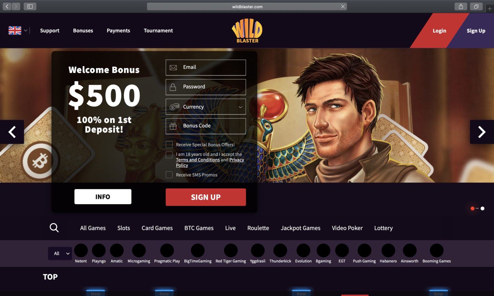 Screenshot of wildblaster.com