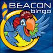 Beaky Bingo Logo
