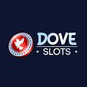 Dove Casino Logo