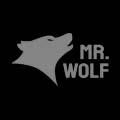 Mr Wolf Slots Logo