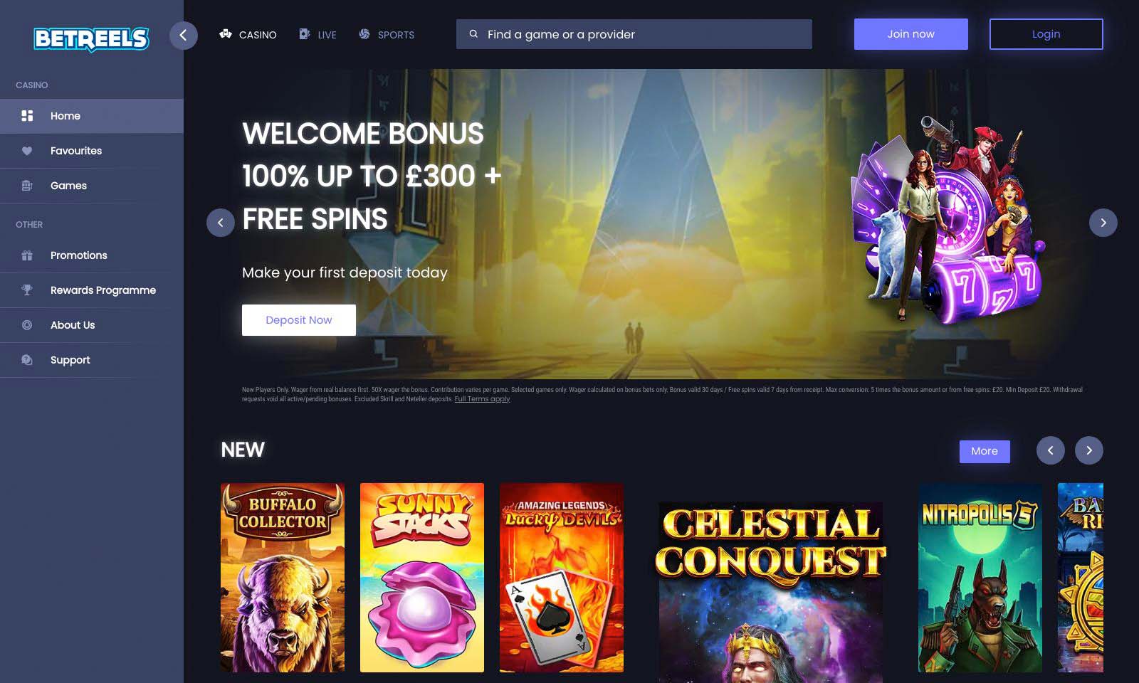 Homepage screenshot taken on 26 July 2024